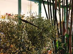 -Jo's Garden
