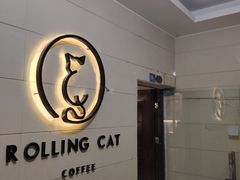 -滚猫咖啡·猫咖·猫友好撸猫(未来城店)