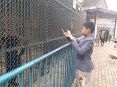 -哈尔滨文化公园