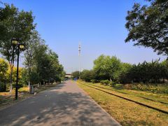 -永定河休闲森林公园