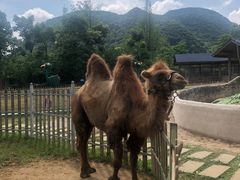 -云漫湖生态度假公园