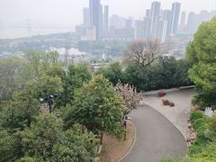 -龟山风景区-龟山电视塔