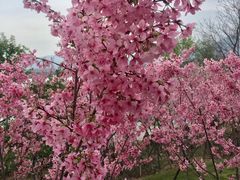 -福建鲤鱼洲酒店