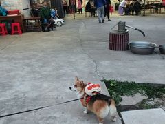 -妈妈的小作坊(陈家镇店)