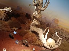 -陕西自然博物馆