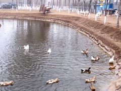 -东郊湿地公园