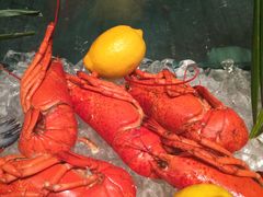-索菲特酒店·海鲜自助 ·聚餐厅