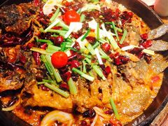 -老板恋上鱼(恒隆广场店)