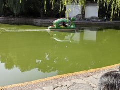 -团结湖公园