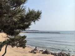 -青岛第二海水浴场
