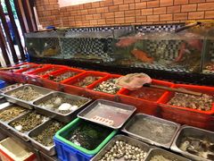 水产区-抱德·潮汕味(敦和店原惠城鱼仔)