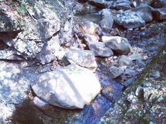 android_upload_pic-祁门牯牛降观音堂风景区