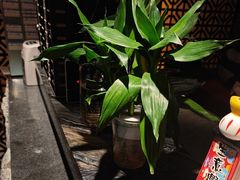 -江南足纪·影院足道·轻奢SPA(笋岗HALO广场店)