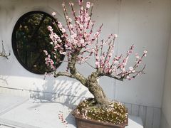 -光福景区