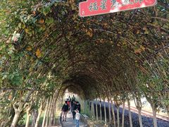 -武汉紫薇都市田园