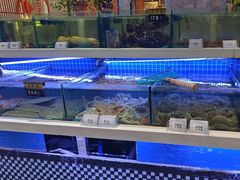 -大众海鲜(巨龙北路店)