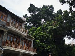 -荔湾湖公园
