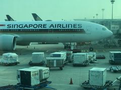 -新加坡航空公司(ION)