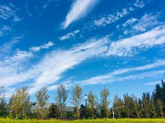 -中关村生命科学园