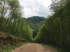 -众神白水涧景区