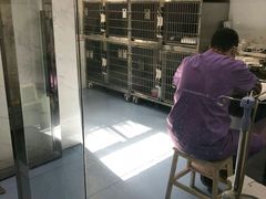 -伟伟宠物医院·CT影像中心·瑞派犬猫综合性门诊(汉口总院)