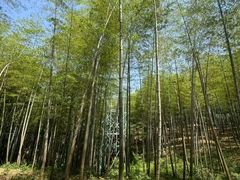 -陶祖圣境风景区