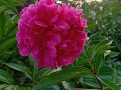 -长春公园(普阳街道)