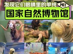 -国家自然博物馆