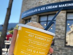 冰淇淋-Patagonia Chocolates(皇后镇店)