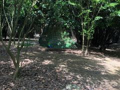 -宁波野生动物园