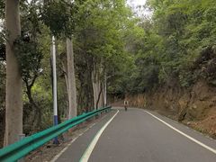 -佛山市三水区大南山森林公园