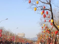 -龙湖星悦荟(颐和店)