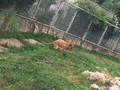 -西安秦岭野生动物园