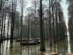 -渌洋湖湿地公园