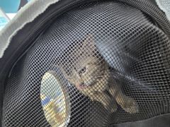 -德元·美联众合24小时动物医院(总院)