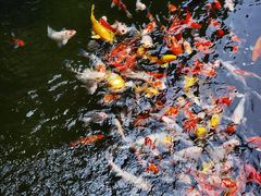 -西林禅寺