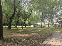 -同里国家湿地公园