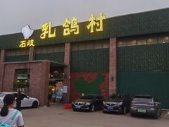-石岐乳鸽村(南海第三分店)