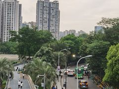 -桂溪生态公园