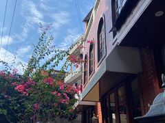 -溪岸路花鸟市场