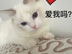 -希望动物医院(汉阳院)