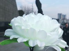 -侵华日军南京大屠杀遇难同胞纪念馆