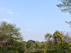 -海珠湖公园