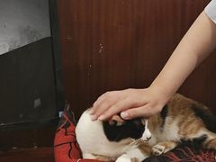 -洪齐林老镇