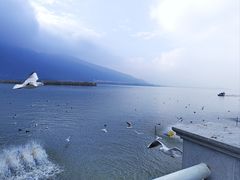 -海埂大坝