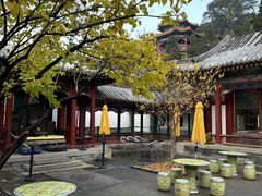 -宫事颐庭·老佛爷贵寿下午茶(颐和园店)