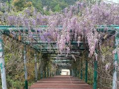 -花亭湖风景名胜区