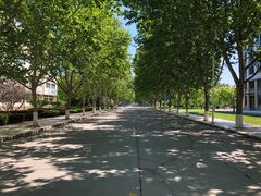 -山东理工大学