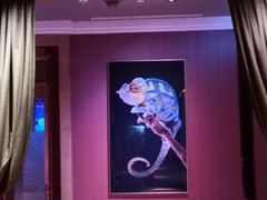 -纯K(打浦桥店)