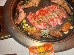 -杨记齐齐哈尔烤肉(总店)